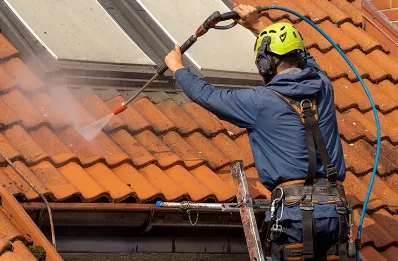 Démoussage et hydrofuge de toiture à Olmiccia